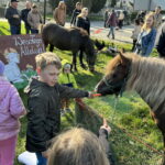 Unikalna Zagroda Zajączka Wielkanocnego - Radio Kielce