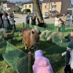 Unikalna Zagroda Zajączka Wielkanocnego - Radio Kielce