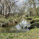 17.04.2026. Koprzywnica. Sprzątanie Koprzywianki i okolicy / Fot. Grażyna Szlęzak-Wójcik - Radio Kielce