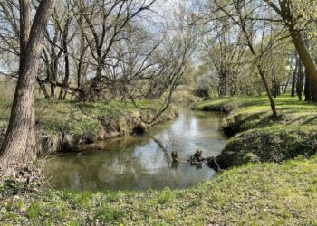17.04.2026. Koprzywnica. Sprzątanie Koprzywianki i okolicy / Fot. Grażyna Szlęzak-Wójcik - Radio Kielce