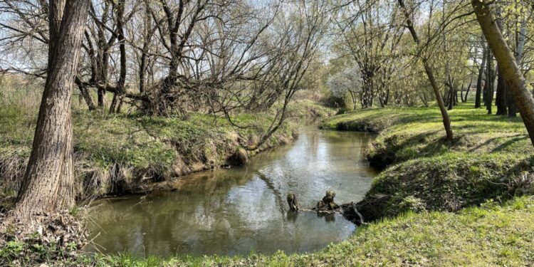17.04.2026. Koprzywnica. Sprzątanie Koprzywianki i okolicy / Fot. Grażyna Szlęzak-Wójcik - Radio Kielce
