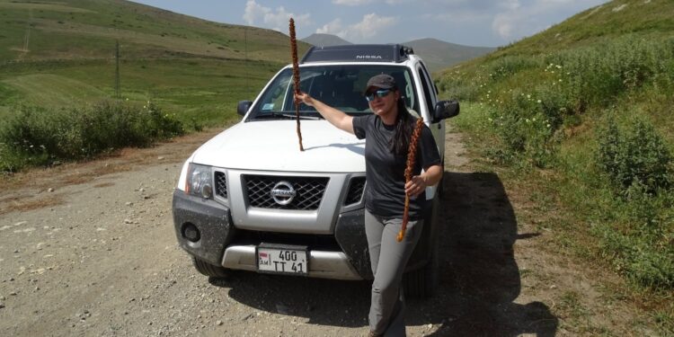 Profesor Renata Piwowarczyk z Instytutu Biologii Uniwersytetu Jana Kochanowskiego / Źródło: Renata Piwowarczyk - Facebook