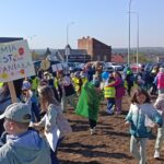 Ostrowiec Świętokrzyski Łąka kwietna / Fot. UM Ostrowiec