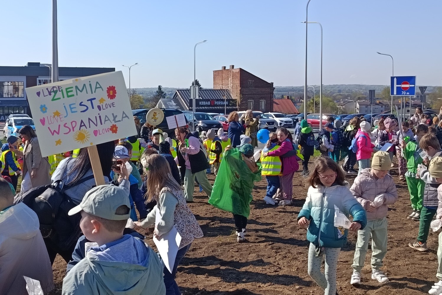 Łąka kwietna w centrum Ostrowca
