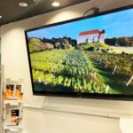 Źródło: Urząd Miasta Sandomierz