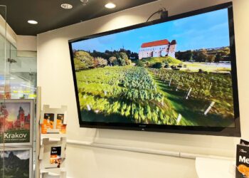 Źródło: Urząd Miasta Sandomierz