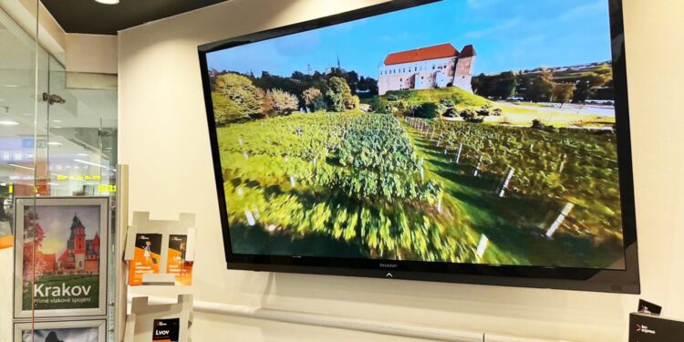 Źródło: Urząd Miasta Sandomierz