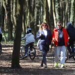 Przybysze z Europy spalają kalorie na świętokrzyskich ścieżkach - Radio Kielce