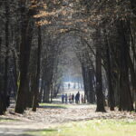 Przybysze z Europy spalają kalorie na świętokrzyskich ścieżkach