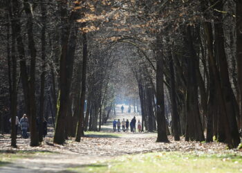 Przybysze z Europy spalają kalorie na świętokrzyskich ścieżkach - Radio Kielce Przybysze z Europy spalają kalorie na świętokrzyskich ścieżkach