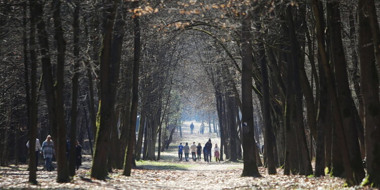 Przybysze z Europy spalają kalorie na świętokrzyskich ścieżkach
