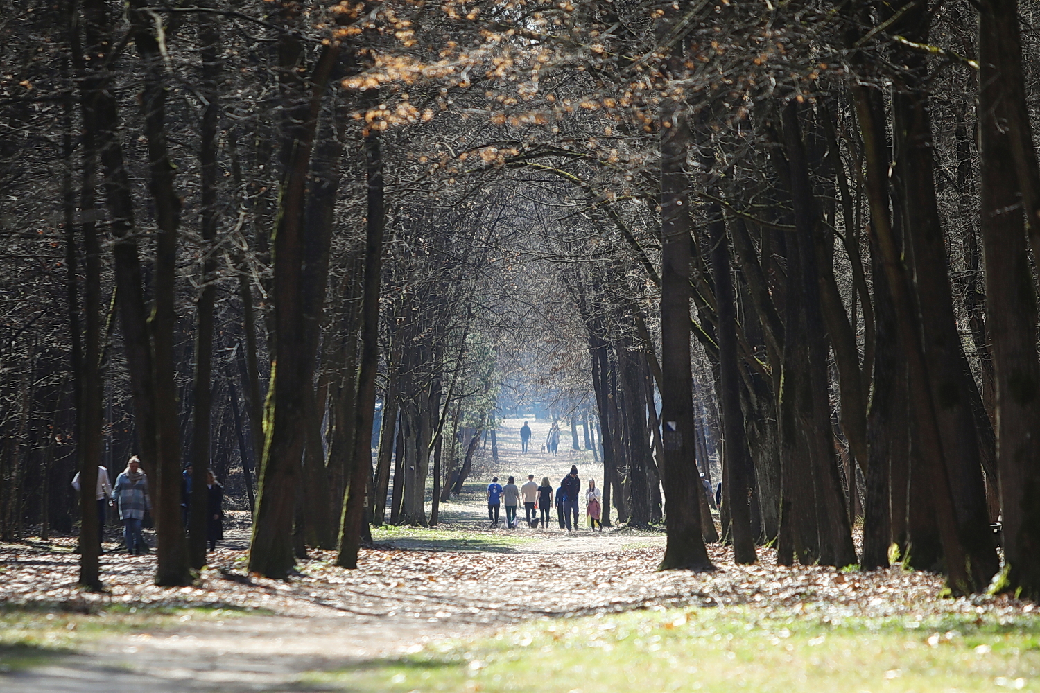Przybysze z Europy spalają kalorie na świętokrzyskich ścieżkach