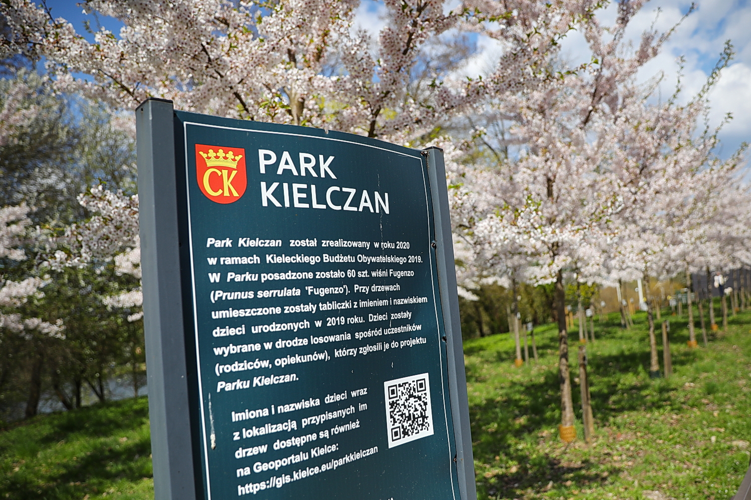Kielce. Kwitnący Park Kielczan