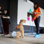 19.04.2026. Kielce. Muzeum Zabawek i Zabawy. Warsztaty dogoterapii / Fot. Wiktor Taszłow - Radio Kielce