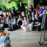 19.04.2026. Kielce. Muzeum Zabawek i Zabawy. Warsztaty dogoterapii / Fot. Wiktor Taszłow - Radio Kielce