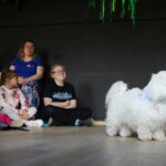 19.04.2026. Kielce. Muzeum Zabawek i Zabawy. Warsztaty dogoterapii / Fot. Wiktor Taszłow - Radio Kielce