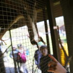 22.04.2026. Kielce. Piknik ekologiczny z okazji „Dnia Ziemi” / Fot. Wiktor Taszłow - Radio Kielce