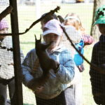 22.04.2026. Kielce. Piknik ekologiczny z okazji „Dnia Ziemi” / Fot. Wiktor Taszłow - Radio Kielce