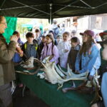 22.04.2026. Kielce. Piknik ekologiczny z okazji „Dnia Ziemi” / Fot. Wiktor Taszłow - Radio Kielce