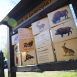 22.04.2026. Kielce. Piknik ekologiczny z okazji „Dnia Ziemi” / Fot. Wiktor Taszłow - Radio Kielce