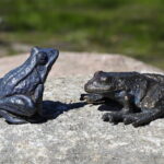 22.04.2026. Kielce. Odsłonięcie pomnika dr Władysława Buszkowskiego / Fot. Wiktor Taszłow - Radio Kielce