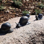 22.04.2026. Kielce. Odsłonięcie pomnika dr Władysława Buszkowskiego / Fot. Wiktor Taszłow - Radio Kielce