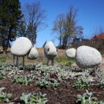 22.04.2026. Kielce. Odsłonięcie pomnika dr Władysława Buszkowskiego / Fot. Wiktor Taszłow - Radio Kielce