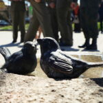 22.04.2026. Kielce. Odsłonięcie pomnika dr Władysława Buszkowskiego / Fot. Wiktor Taszłow - Radio Kielce