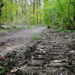 INTERWENCJA. Nielegalne quady i crossy niszczą lasy oraz zakłócają spokój - Radio Kielce