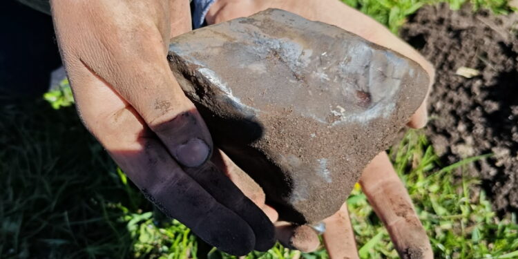 Odnaleziono nowy meteoryt żelazny