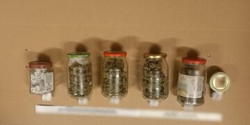 Znaczne ilości narkotyków u Skarżyszczanina. Grozi mu do 10 lat więzienia