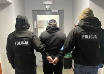 Marihuana za 120 tysięcy złotych