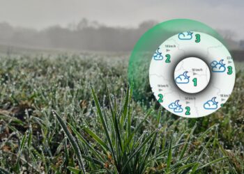 Będzie coraz zimniej. Apogeum w przyszłym tygodniu