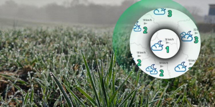 Będzie coraz zimniej. Apogeum w przyszłym tygodniu