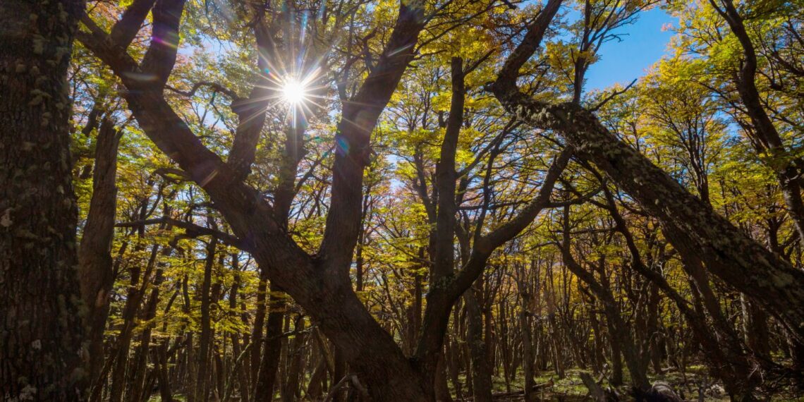 Nowe rezerwaty powstaną w regionie