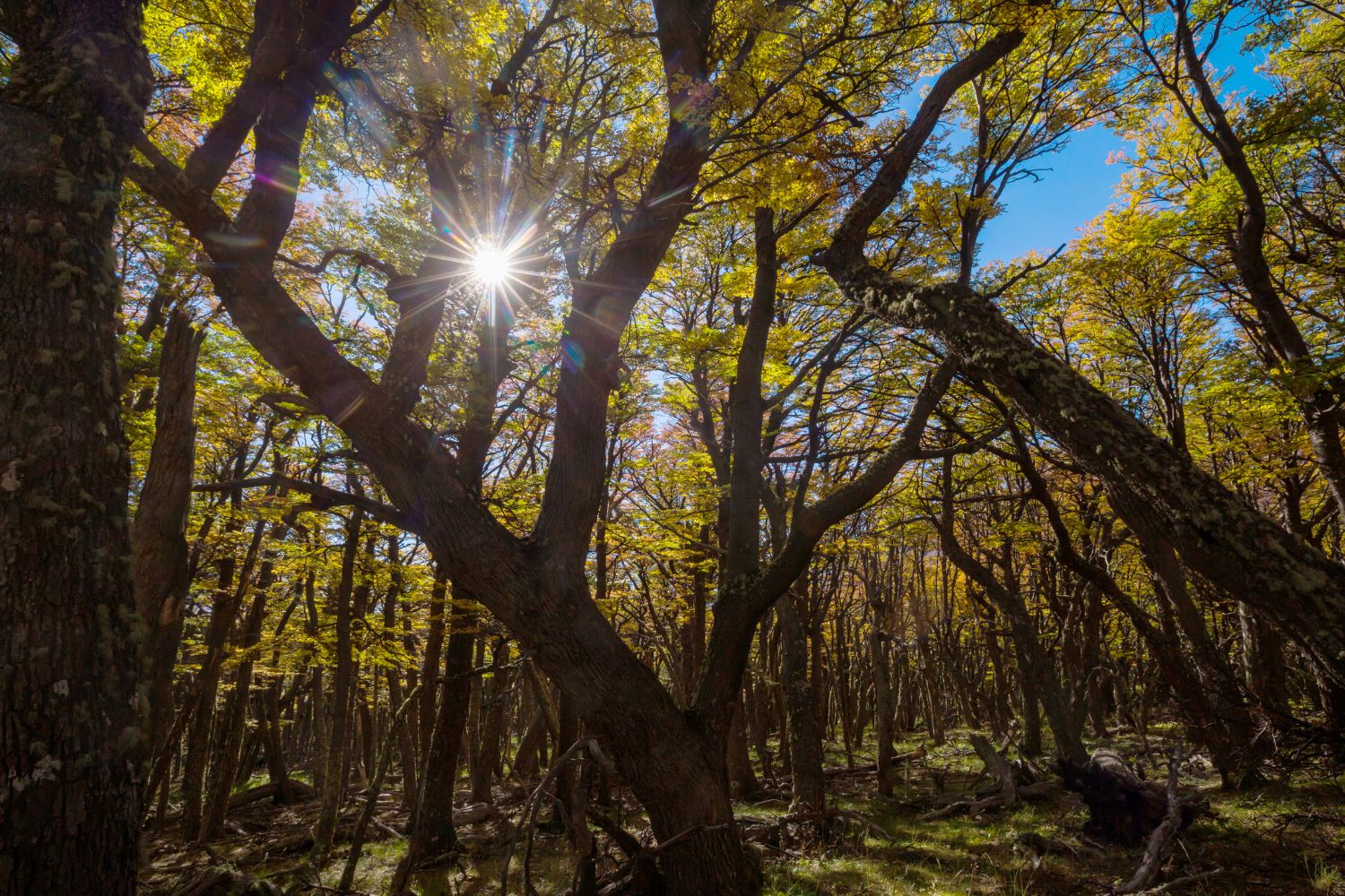 Nowe rezerwaty powstaną w regionie