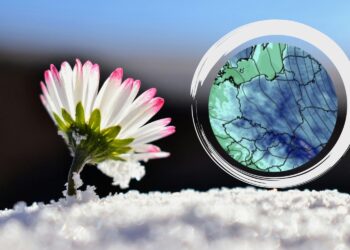 Źródło: canva.com, wxcharts.com