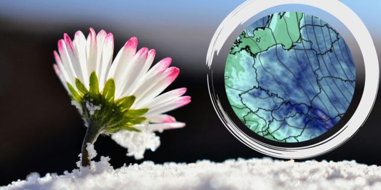 Źródło: canva.com, wxcharts.com