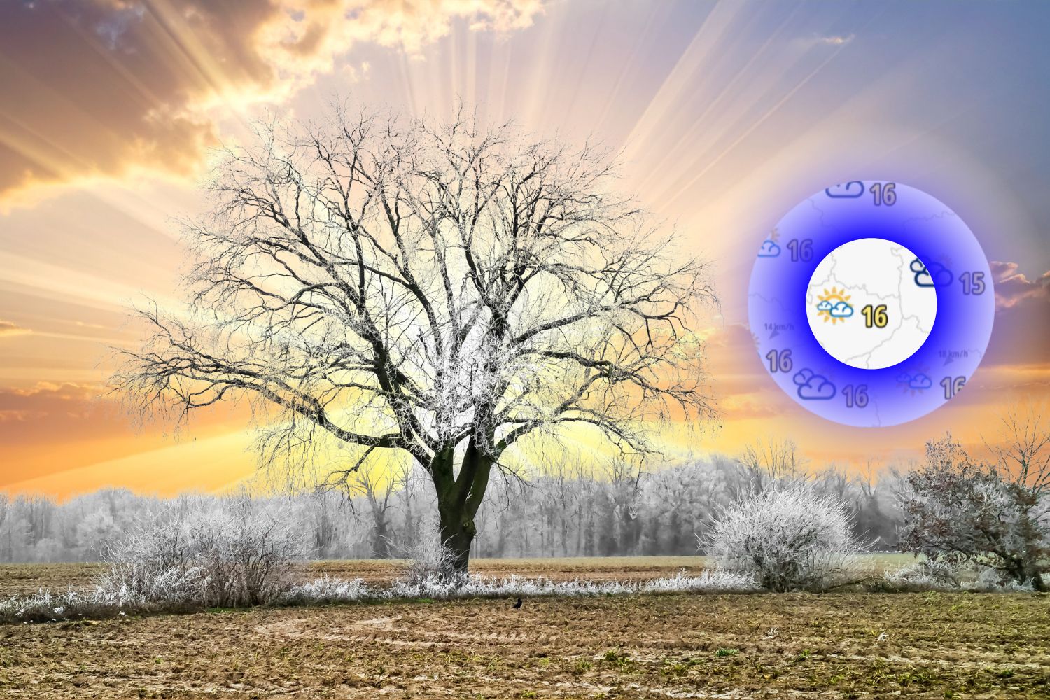 Przełom w prognozach. Wiemy, kiedy koniec przymrozków