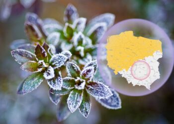 Świętokrzyskie wolne od zagrożenia