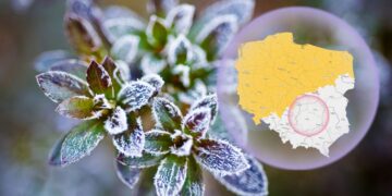 Świętokrzyskie wolne od zagrożenia