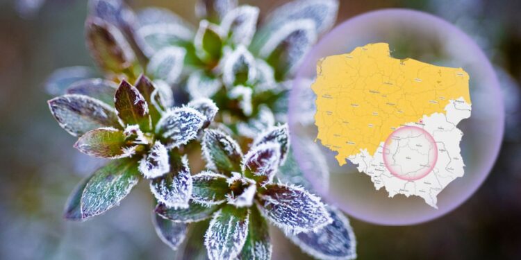 Świętokrzyskie wolne od zagrożenia