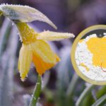 Mróz pokazuje kły i nie schowa ich przed majówką