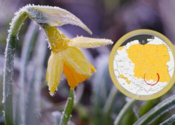 Mróz pokazuje kły i nie schowa ich przed majówką