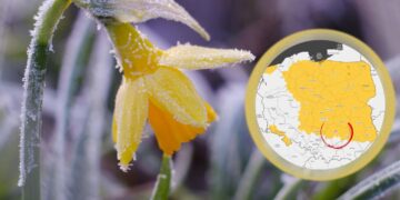 Mróz pokazuje kły i nie schowa ich przed majówką