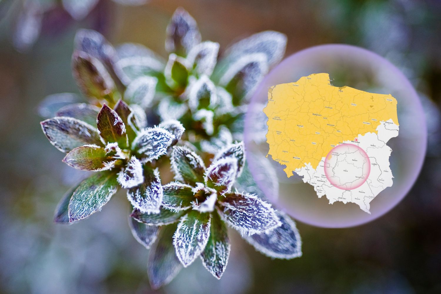 Świętokrzyskie wolne od zagrożenia