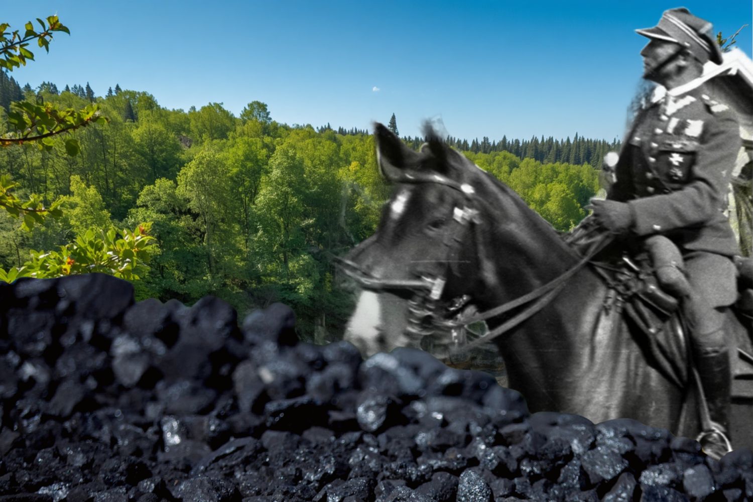 Świętokrzyskie na węglu stoi