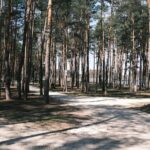 17.04.2026. Sielpia. Zalew Sielpia i jego otoczenie / Fot. Magdalena Galas-Klusek - Radio Kielce