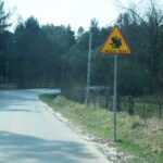 Przyrodnicy i wolontariusze ruszają na pomoc migrującym płazom - Radio Kielce