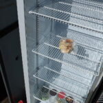 07.04.2026. Kielce. Lodówka pełna dobra / Fot. Jarosław Kubalski - Radio Kielce